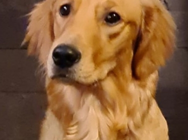 Maggy